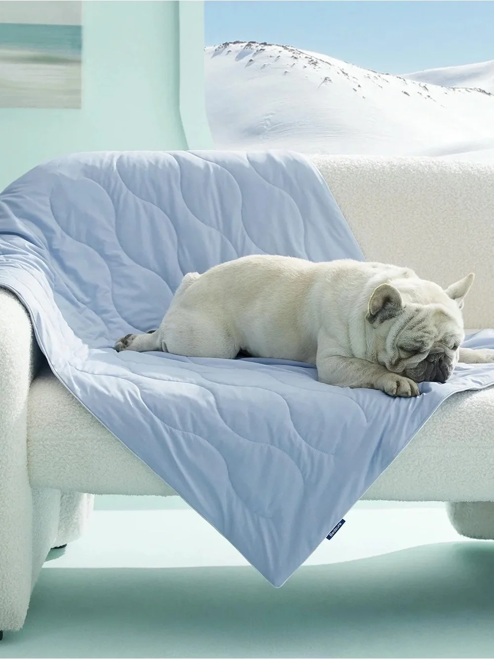BEDSURE SUPER FRESH COOLING  LARGE PET BLANKETS!